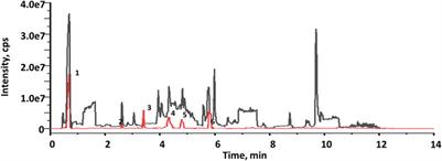 Screening and evaluation of metabolites binding PRAS40 from Erxian decoction used to treat spinal cord injury